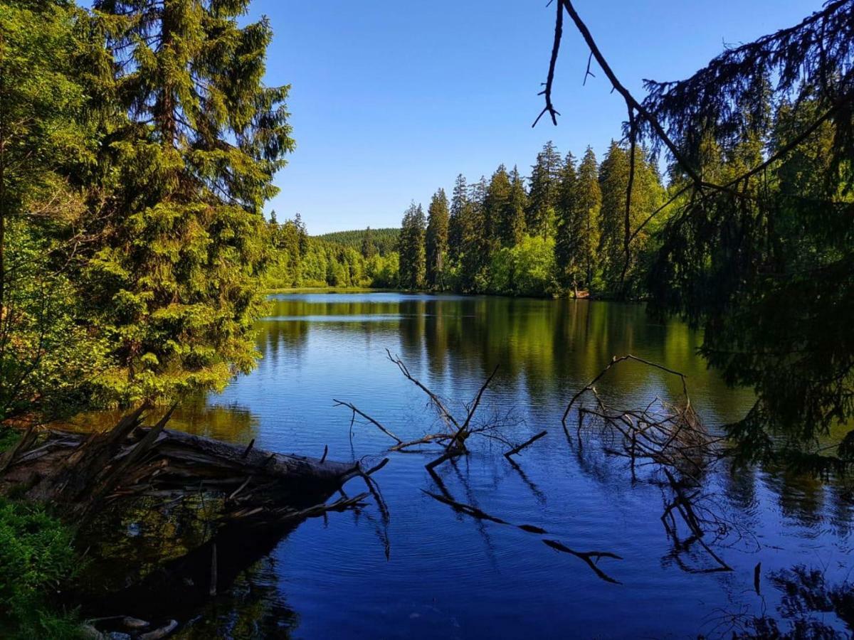 Schoene Bergsicht Гослар Экстерьер фото